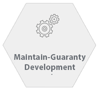 Maintain-Guaranty